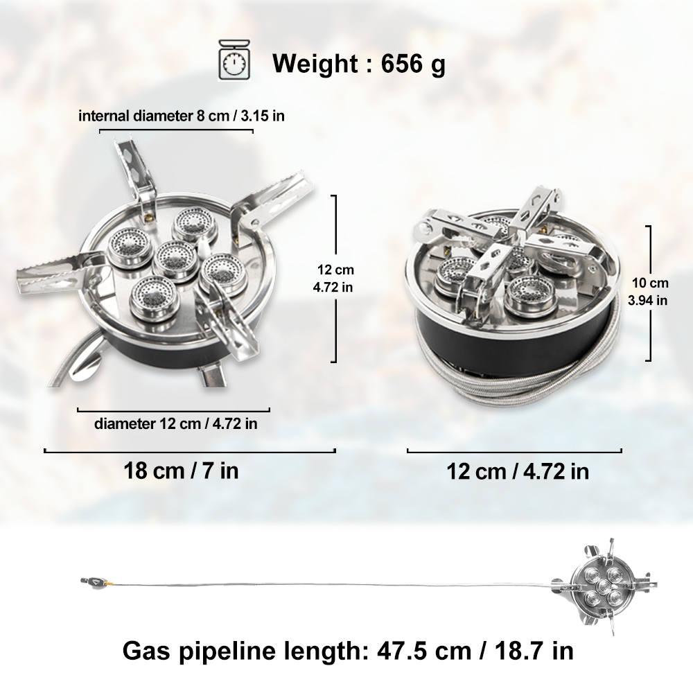 Widesea Camping 5in1 Gas Stove - Outdoor Camping Sink review and price